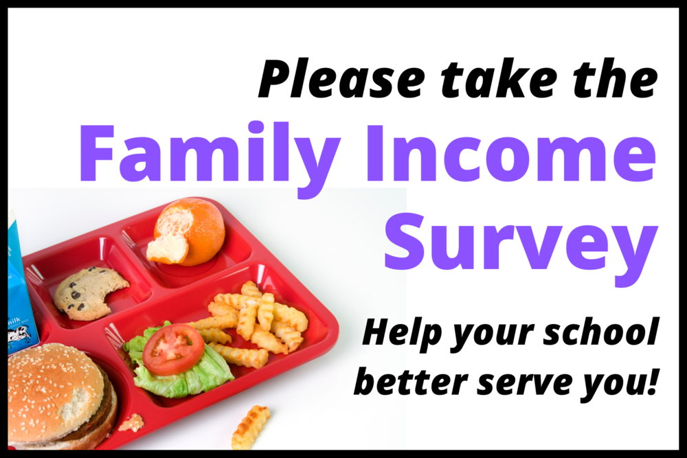 Family Income Survey